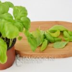 Соус песто классический рецепт